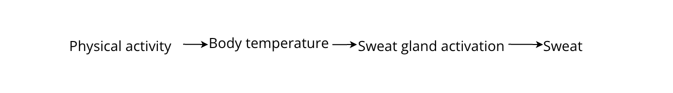 Linear flow chart: Activity -> Temp Rise -> Sweat